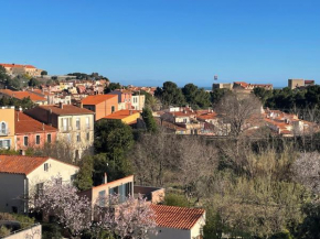 Collioure, bel appartement de 40m2 avec balcon